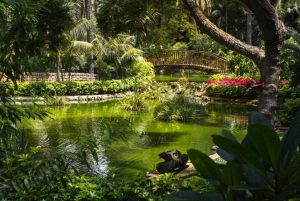 Hotel Botanico y Oriental Spa Garden
